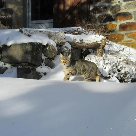 Bed & Breakfast Bastides Du Mezenc Saint-Front (Haute-Loire)