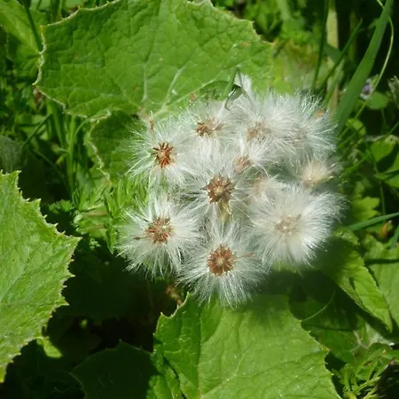 Bastides Du Mezenc 3*